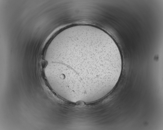 X0000113021000200909171449