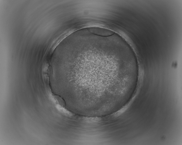 X0000113021001200909171449