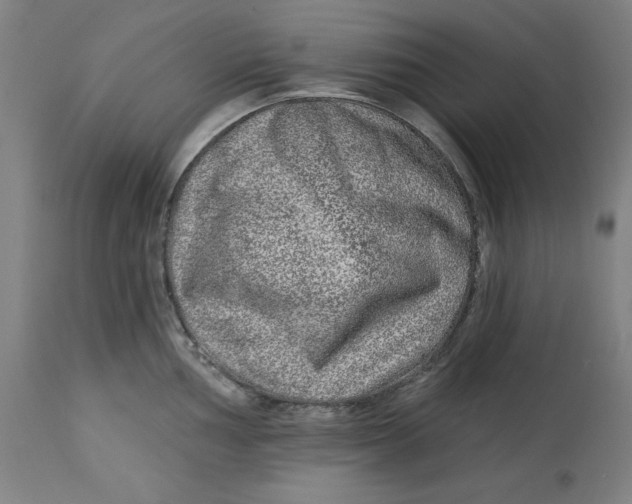 X0000113021002200909171449