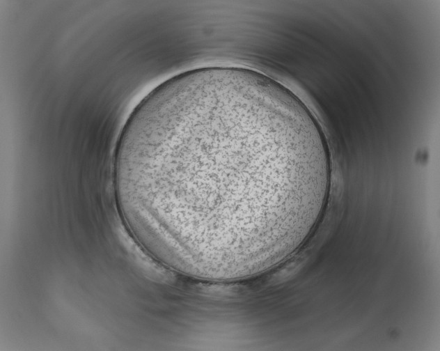 X0000113021004200909171449