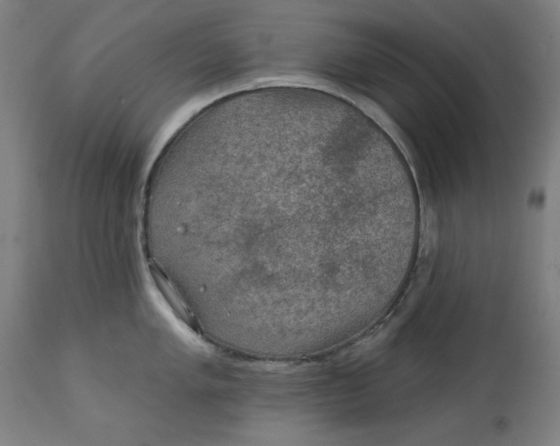 X0000113021005200909171449