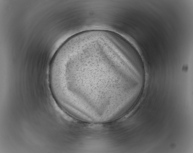 X0000113021006200909171449