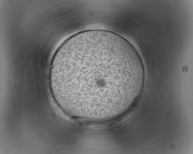 X0000113021008200909171449