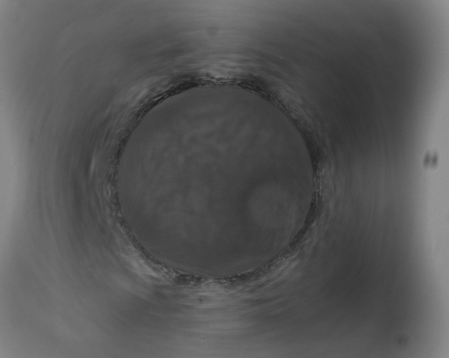 X0000113021009200909171448