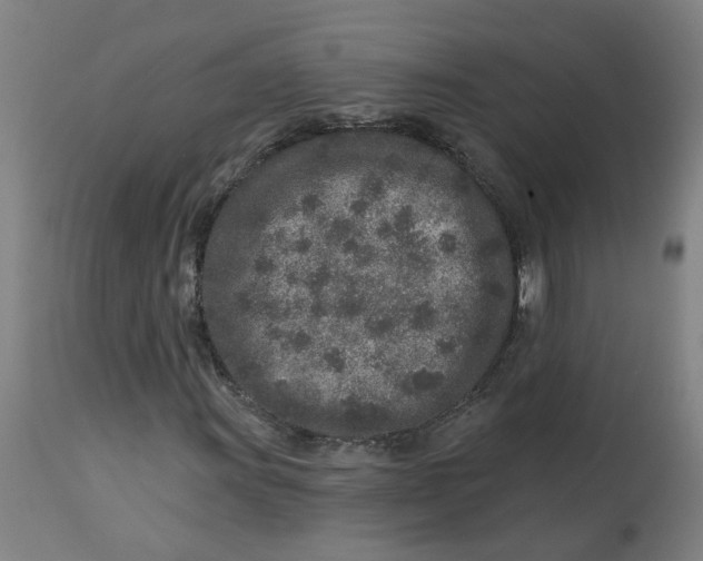 X0000113021011200909171448