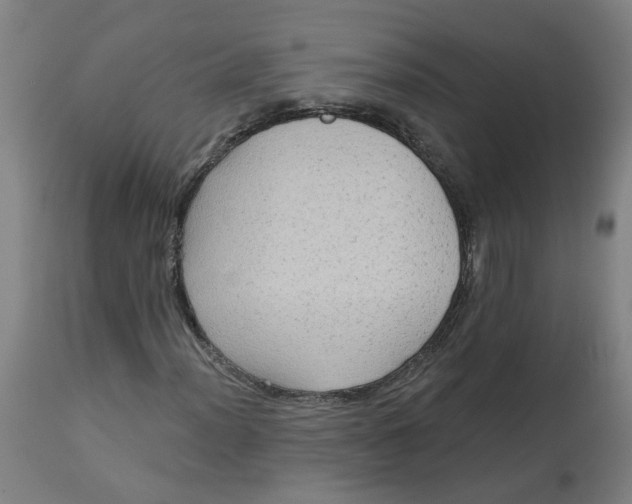 X0000113021012200909171448