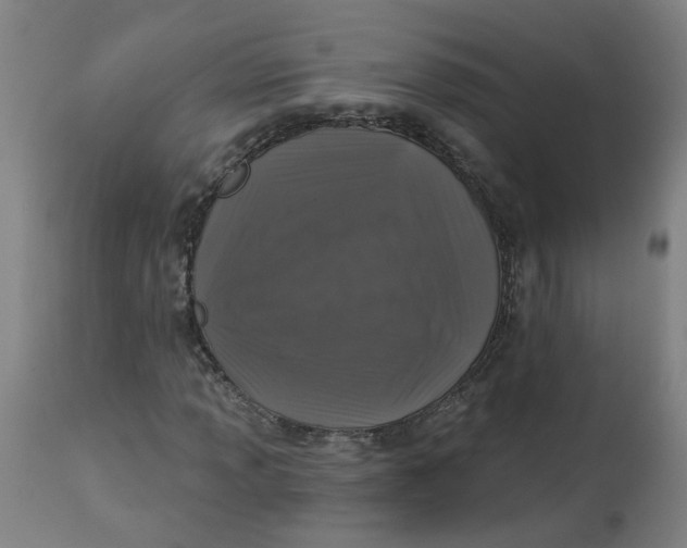 X0000113021013200909171448