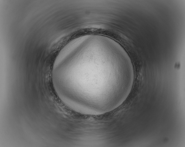 X0000113021014200909171448