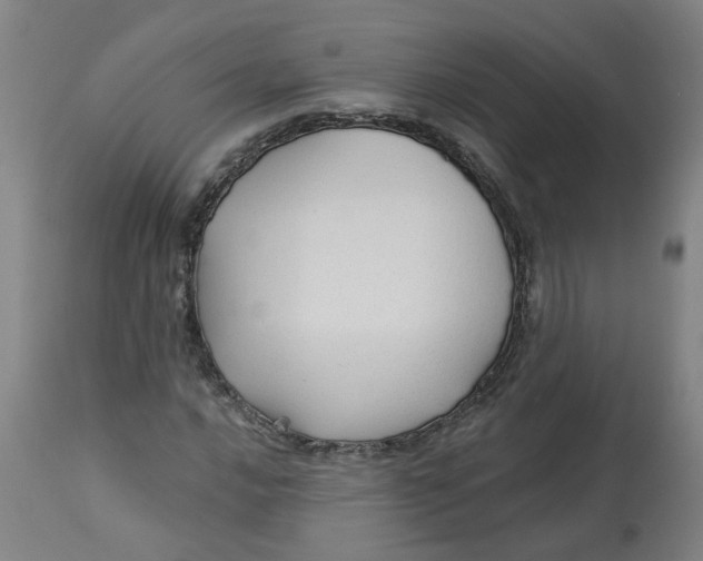 X0000113021016200909171448