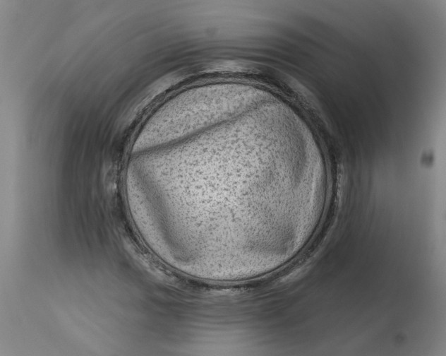 X0000113021017200909171448