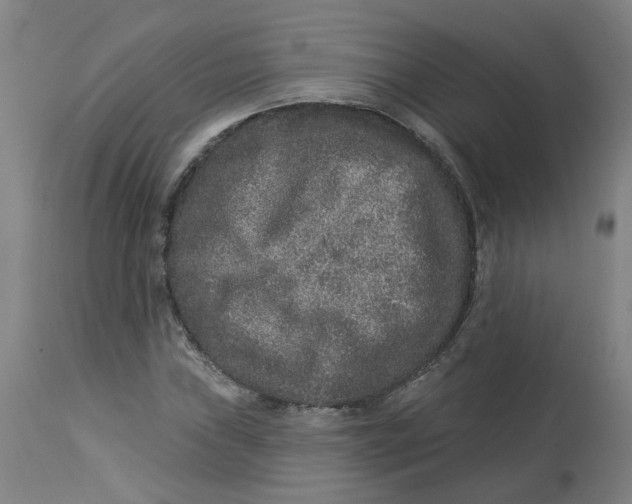 X0000113021019200909171448