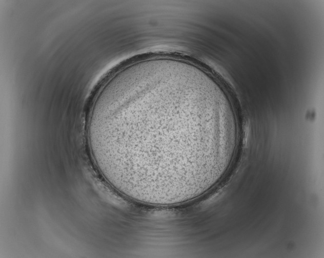 X0000113021021200909171448