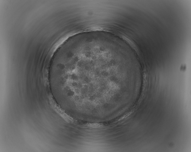 X0000113021023200909171448