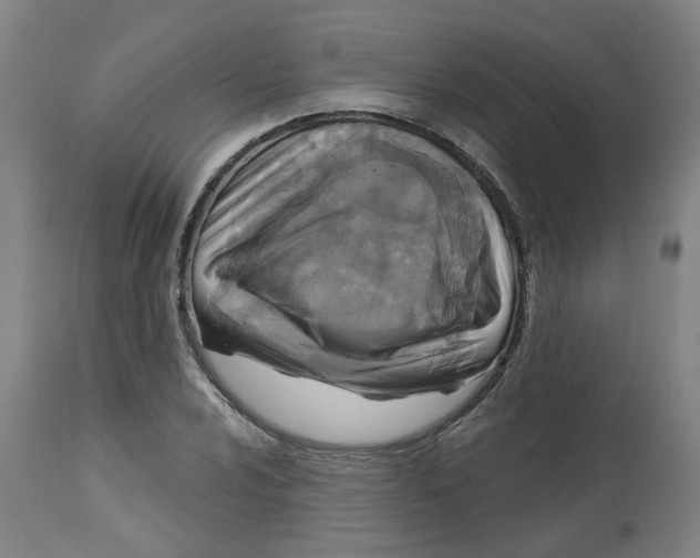 X0000113021024200909171448