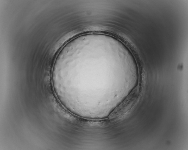 X0000113021025200909171448