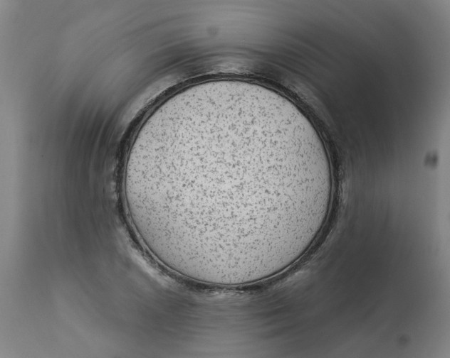 X0000113021026200909171448