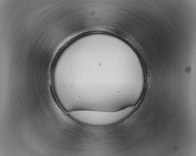 X0000113021028200909171448