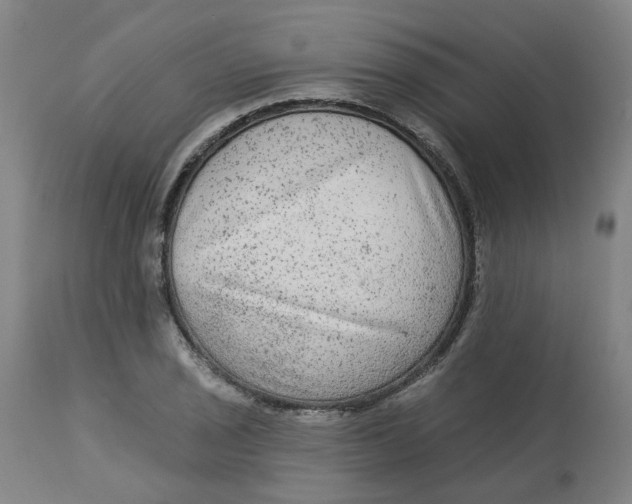 X0000113021029200909171448