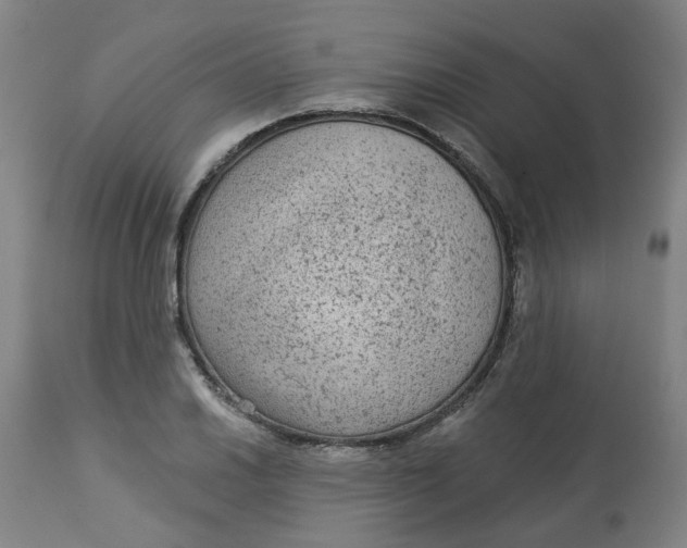 X0000113021030200909171448