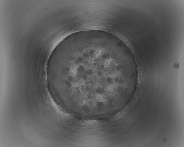 X0000113021031200909171448