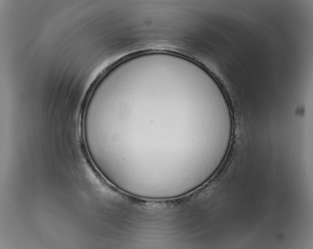 X0000113021032200909171448