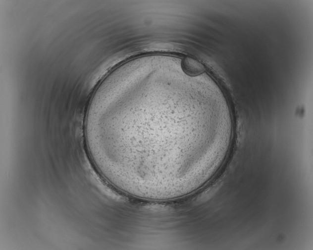 X0000113021033200909171448