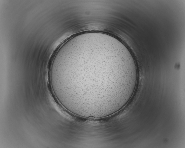 X0000113021034200909171448