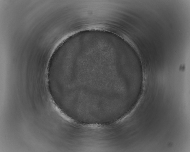 X0000113021037200909171448