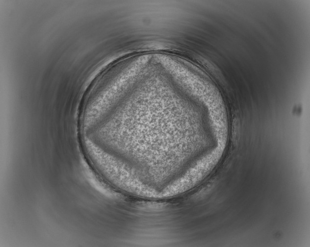 X0000113021039200909171449