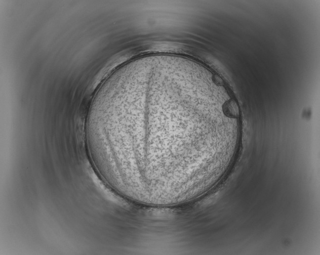 X0000113021041200909171449