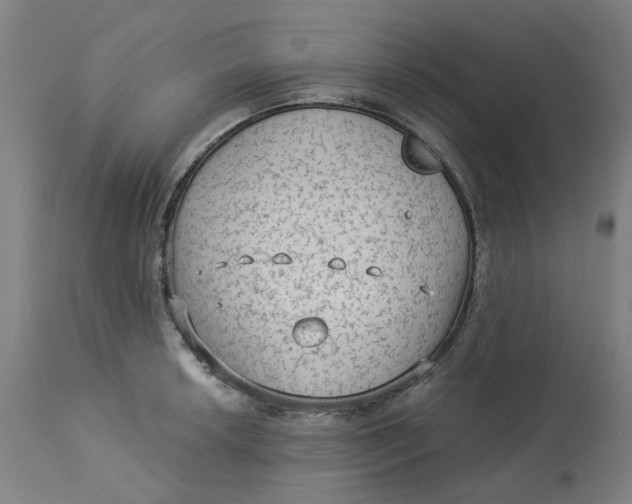 X0000113021042200909171449