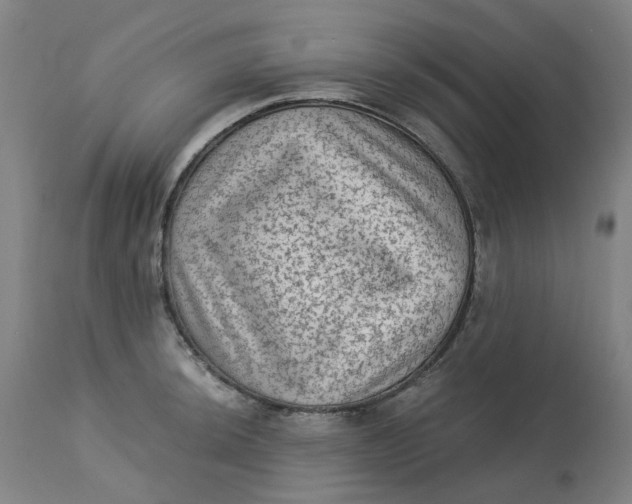 X0000113021044200909171449