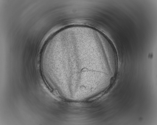 X0000113021045200909171449