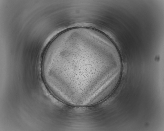 X0000113021046200909171449