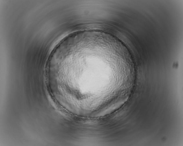 X0000113021047200909171449