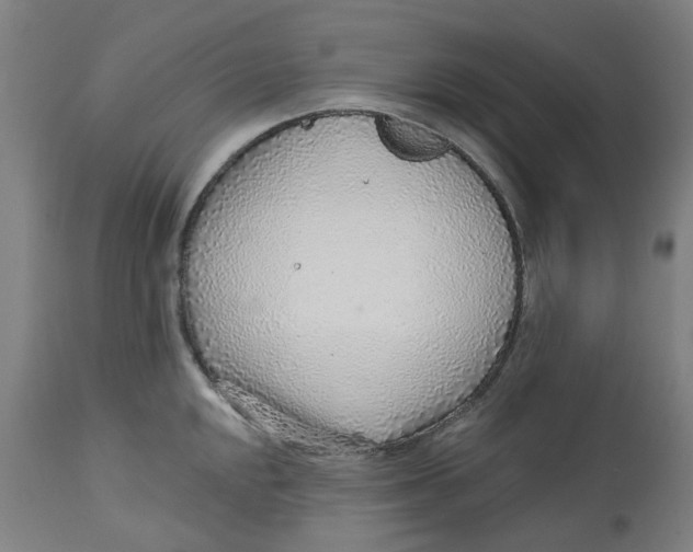 X0000113021048200909171449