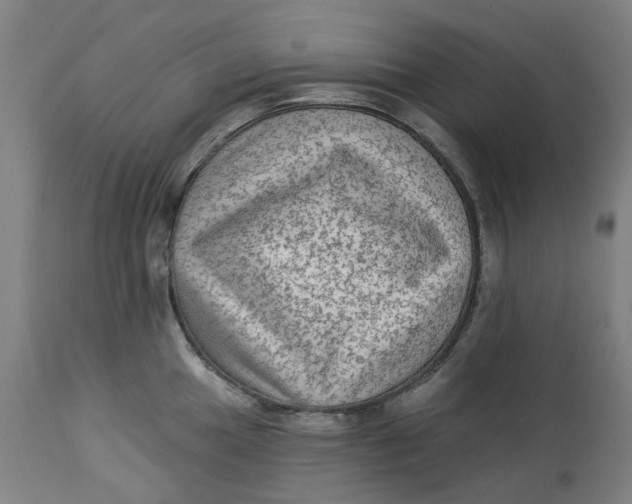 X0000113021049200909171449