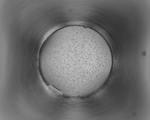 X0000113021050200909171449