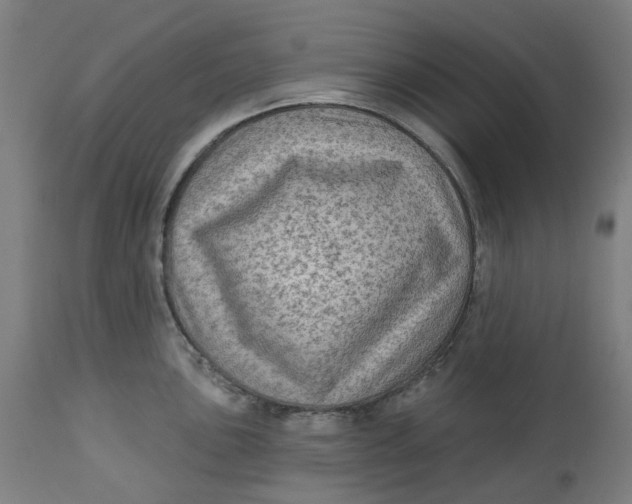 X0000113021051200909171449