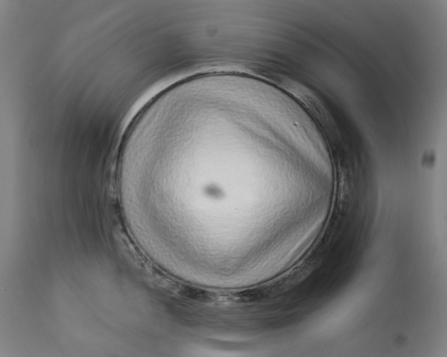 X0000113021052200909171449