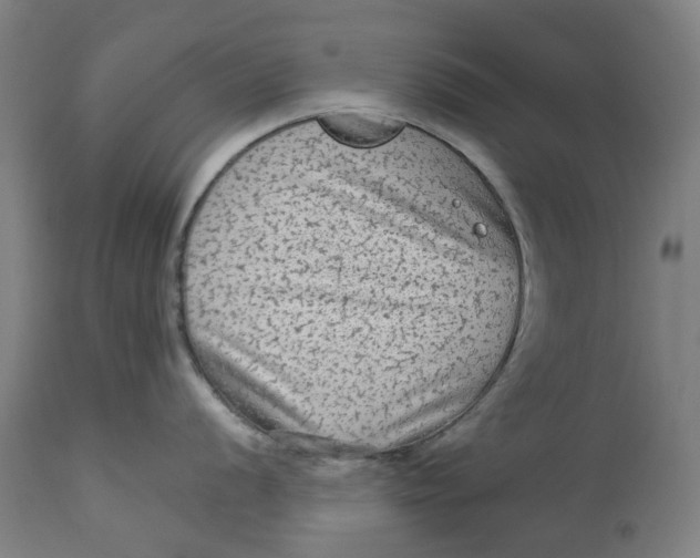 X0000113021056200909171449