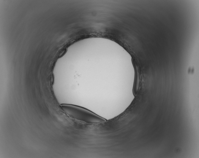 X0000113021057200909171448