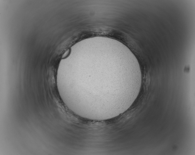 X0000113021058200909171448