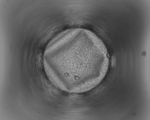 X0000113021059200909171448