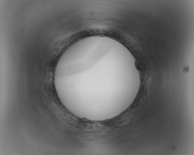 X0000113021061200909171448