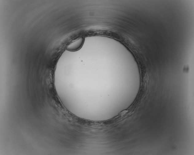 X0000113021062200909171448