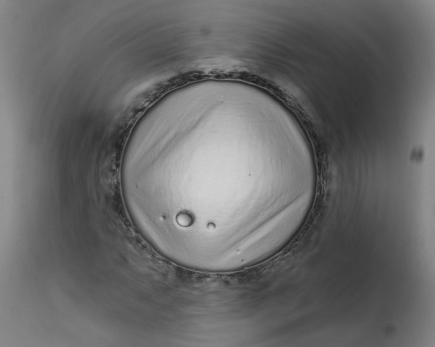 X0000113021063200909171448