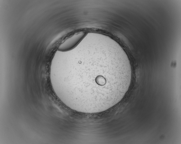 X0000113021064200909171448