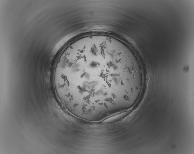 X0000113021066200909171448