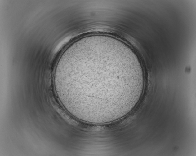 X0000113021067200909171448